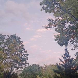 激情亂伦有声小说
